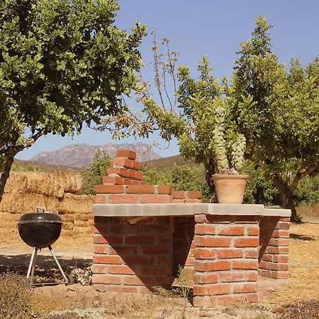 Las Orquideas Valle de Guadalupe Exterior photo