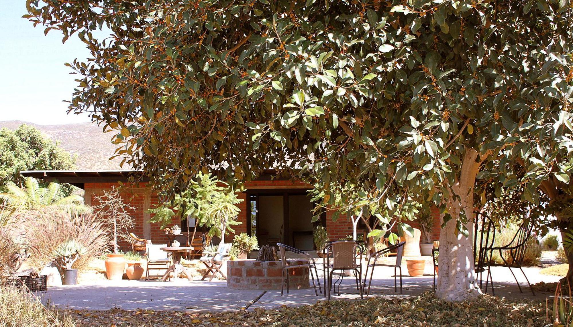 Las Orquideas Valle de Guadalupe Exterior photo