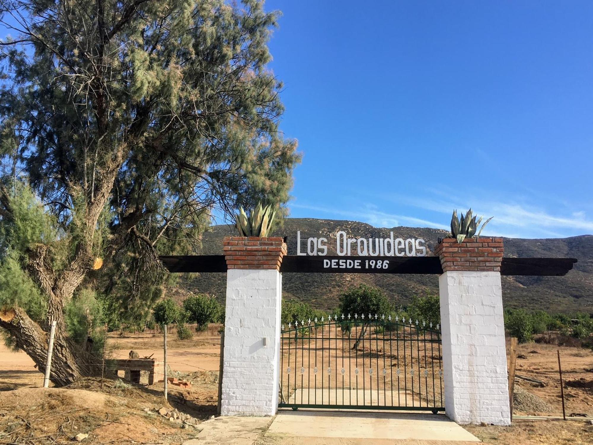 Las Orquideas Valle de Guadalupe Exterior photo