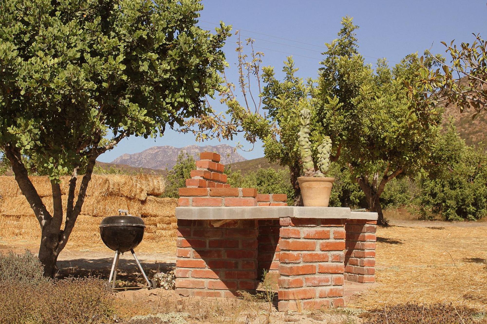 Las Orquideas Valle de Guadalupe Exterior photo